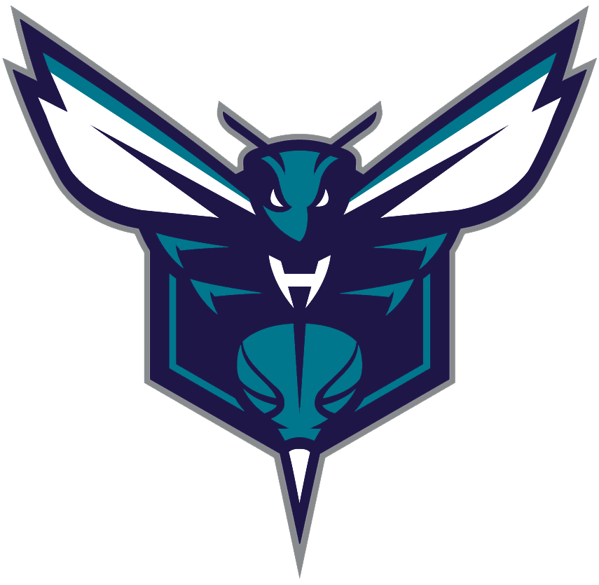 Charlotte Hornets 2014-Pres Alternate Logo iron on heat transfer v2